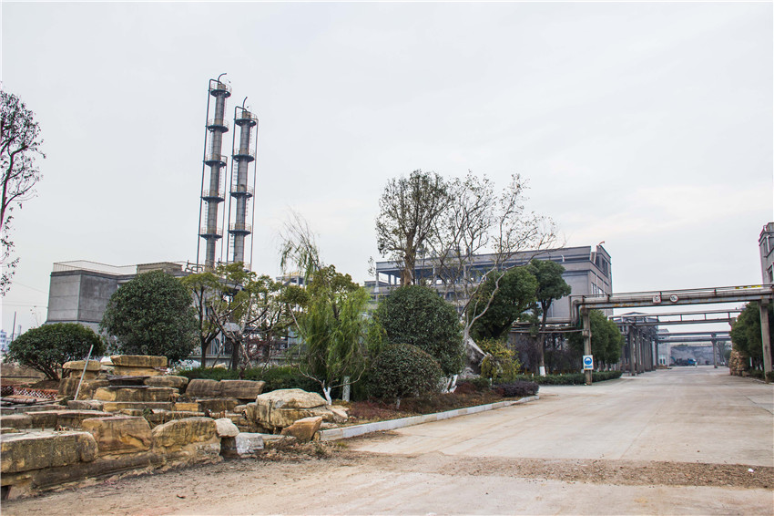 �������š�yl(�й���)�ٷ���վ