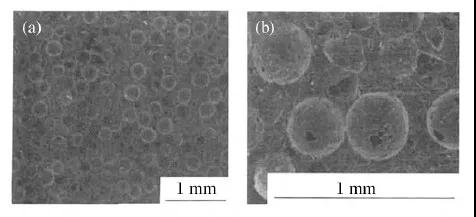 �������š�yl(�й���)�ٷ���վ